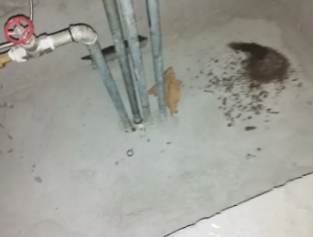 中牟卫生间测漏水价格明细